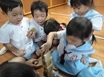 image0